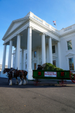 Presidential grandson Beau Biden joins the First Lady at the arrival of the White House Christmas Tree.