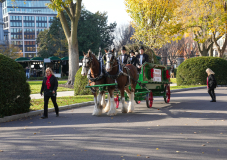 Presidential grandson Beau Biden joins the First Lady at the arrival of the White House Christmas Tree.