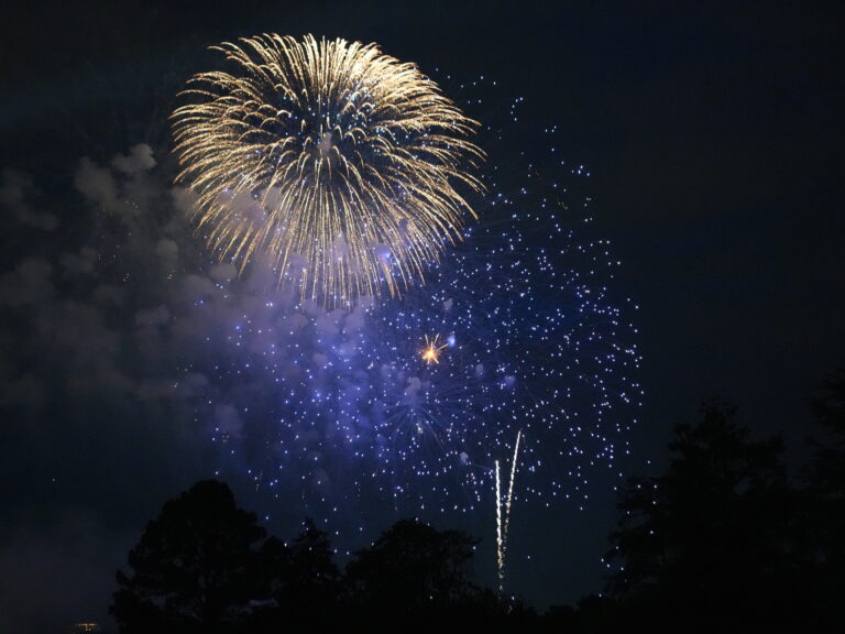 Fourth of July at the White House